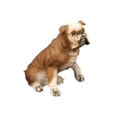 SÜTLÜ KAHVE İNGİLİZ BULLDOG KÖPEK FİGÜRÜ- MODEL HAYVAN OYUNCAK